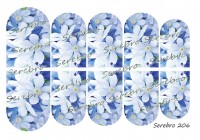 Слайдер-дизайн "Serebro" №206