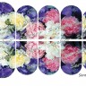 109 с н