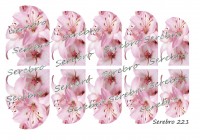 Слайдер-дизайн "Serebro" №221