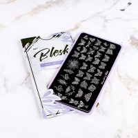 Blesk, Пластина для стемпинга №067, 6*12 см