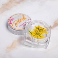Дизайн для ногтей "Сухоцветы"  №10  "Blesk"